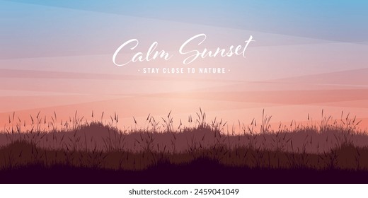 Meadow silhouettes with grass. Countryside, panoramic summer lawn rural landscape with herbs, weeds. Agriculture and farming. Summer sunset in nature, wildlife. Vector illustration