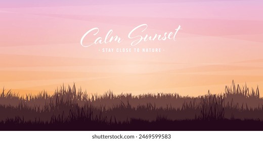 Meadow silhouettes with grass. Countryside, panoramic summer lawn rural landscape with herbs, weeds. Agriculture and farming. Summer sunset in nature, wildlife. Vector illustration