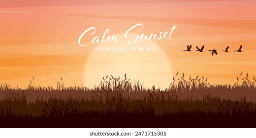 Meadow silhouettes with grass. Countryside, panoramic summer lawn rural landscape with herbs, weeds. Agriculture and farming. Summer sunset in nature, wildlife. Vector illustration