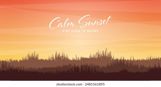 Meadow silhouettes with grass. Countryside, panoramic summer lawn rural landscape with herbs, weeds. Agriculture and farming. Summer sunset in nature, wildlife. Vector illustration