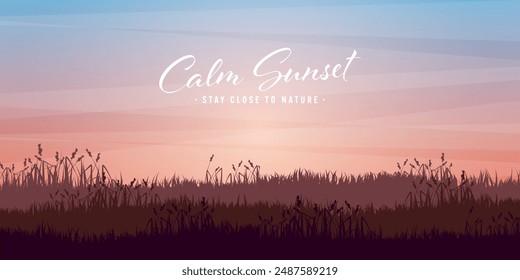 Meadow silhouettes with grass. Countryside, panoramic summer lawn rural landscape with herbs, weeds. Agriculture and farming. Summer sunset in nature, wildlife. Vector illustration