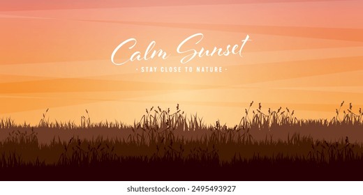 Meadow silhouettes with grass. Countryside, panoramic summer lawn rural landscape with herbs, weeds. Agriculture and farming. Summer sunset in nature, wildlife. Vector illustration.