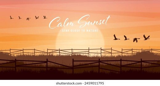 Meadow silhouettes with grass and old wooden fence. Countryside, panoramic summer lawn rural landscape with herbs, weeds. Agriculture and farming. Summer sunset in nature. Vector illustration
