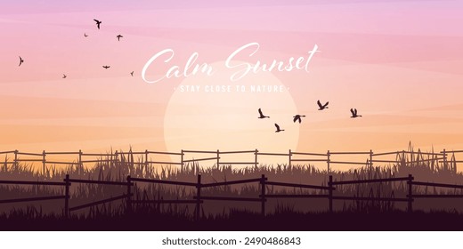 Meadow silhouettes with grass and old wooden fence. Countryside, panoramic summer lawn rural landscape with herbs, weeds. Agriculture and farming. Summer sunset in nature. Vector illustration