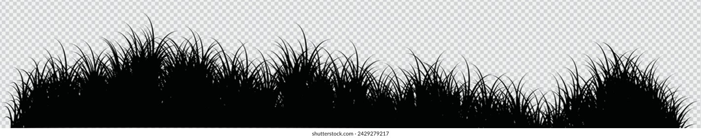 Siluetas de prado con hierba, plantas en llanura. Paisaje panorámico de césped de verano con hierbas, varias malezas. Borde de hierbas, elemento de marco. Banners horizontales negros. Ilustración de vector