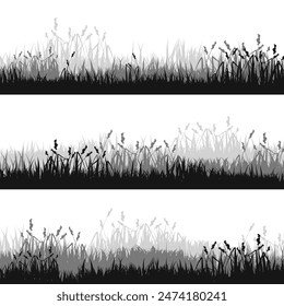 Meadow silhouettes with grass, plants on plain. Panoramic summer lawn landscape with herbs, various weeds. Herbal border, frame. Nature background. Black horizontal banner. Vector illustration.