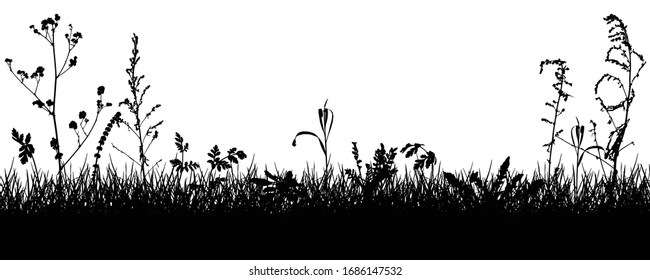Meadow, silhouettes of grass, weeds, plants. Vector illustration.