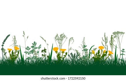 Meadow In Spring, Colorful Plants And Weeds And Flowers. Vector Illustration