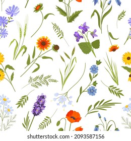 Meadow spring wild flowers and herbs seamless pattern. Vintage floral ornament with daisy, poppy and leaves. Cottagecore boho vector print. Illustration of summer pattern blossom