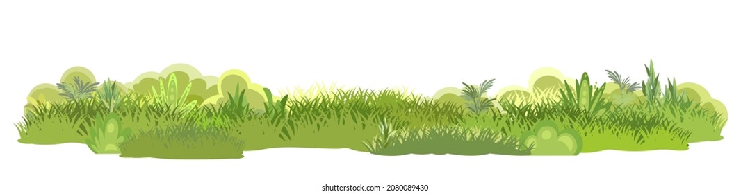 Meadow. Summer herbal glade. Grass close up. Rural beautiful landscape. Wild uncut lawn. Cartoon style. Flat design. Isolared on white background. Illustration vector art.