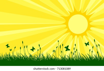 Meadow with sun. 