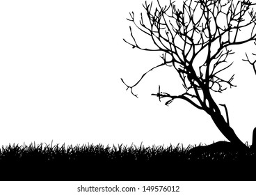 Meadow and tree