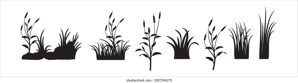 Conjunto de vectores de pradera. Silueta vectorial de hierba verde. Ilustración vectorial de pastizales.