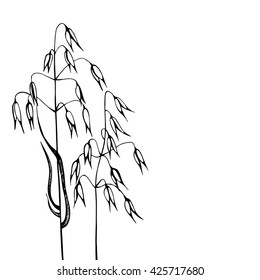 Meadow. Wild field flowers and grass. Wild grass. Hand sketched illustration.