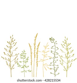 Meadow. Wild field flowers and grass. Wild grass. Hand sketched illustration. 
