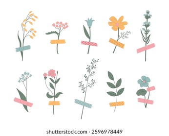 Meadow wild flower blooms attached by colorful decorative washi tape cute creative composition isolated set. Dried floral stems collage with sticky ribbon scrapbooking design vector illustration