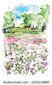 Meadow wild flower field watercolor sketch art vector. Countryside summer landscape.