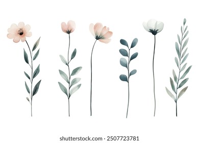 Meadow wild flowers in pastel colors. Watercolor botanical set. Delicate watercolor plants for wedding invitations, cards. 