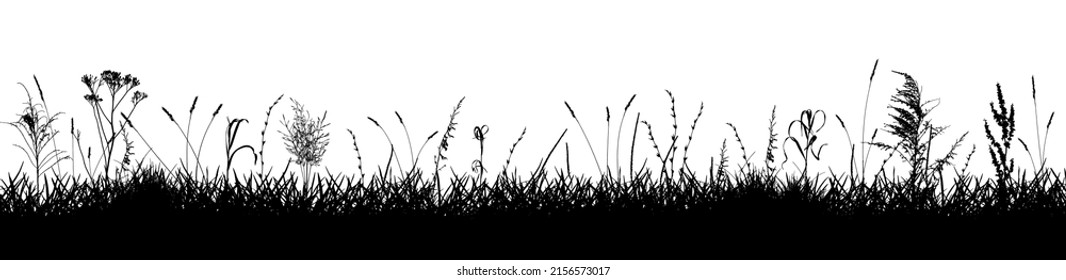 Meadow with wild weeds and grass, silhouette. Background of grassland. Vector illustration