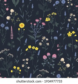 Meadow wildflower seamless vector pattern. Boho botanical floral dark background. Delicate field flower and herb illustration.