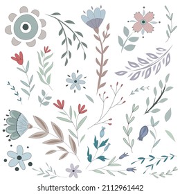 Patrón vectorial sin costuras de flor silvestre pradera. Fondo floral botánico Boho. Delicada ilustración de flores y hierbas de campo.