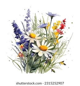 Meadow wildflowers bouquet vector illustration. Summer meadow blossom, garden flowers, field wildflowers.