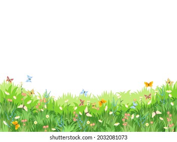 Meadow with wildflowers and butterflies. Illustration. Grass close-up. Beautiful green landscape. Isolated. Cartoon style. Flat design. Flowers. Vector art.