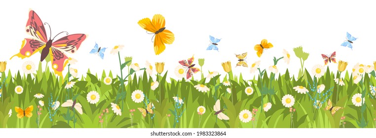 Meadow with wildflowers and butterflies. Seamless illustration. Grass close-up. Green summer landscape. Cartoon style. Flat design. Flowers. Isolated on white background. Vector art