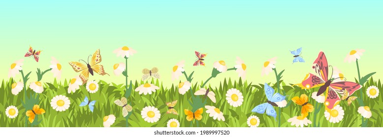 Meadow with wildflowers and butterflies. Seamless illustration. Grass close-up. Green landscape. Summer sky. Cartoon style. Flat design. Flowers. Vector art