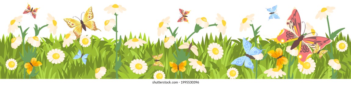 Meadow with wildflowers and butterflies. Seamless illustration. Grass close-up. Green summer landscape. Cartoon style. Flat design. Flowers. Isolated on white background. Vector art