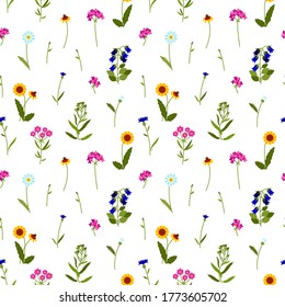 Meadow wildflowers colorful seamless pattern. Summer design with Echinacea, chamomile, cornflower, bellflower, lady's purse, yarrow for textile, fabric, wrapping paper, prints. Vector illustration