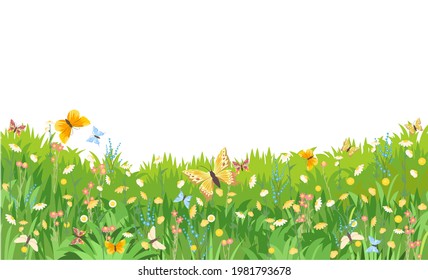 Meadow with wildflowers. Grass close-up. Beautiful green rural landscape. Isolated. Cartoon style. Flat design. Countryside view. Flowers. Art illustration vector