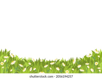 Meadow with wildflowers. Grass close-up. Beautiful green rural landscape. Isolated. Cartoon style. Flat design. Countryside view. Flowers. Art illustration vector.