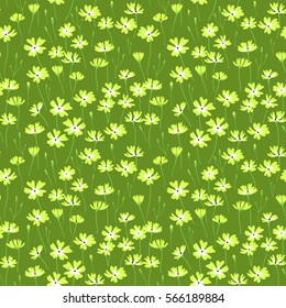 Meadow. Wildflowers pattern. Cute pattern in small flower. Small yellow flowers. Green background. The elegant the template for fashion prints