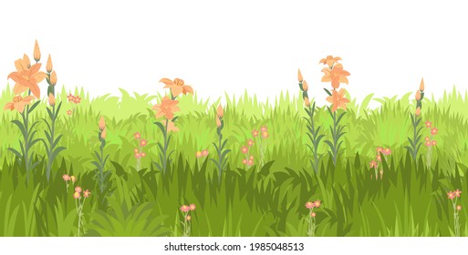 Meadow with wildflowers. Seamless illustration. Grass close-up. Green summer landscape. Rural pasture. Cartoon style. Flat design. Flowers. Isolated on white background. Vector art