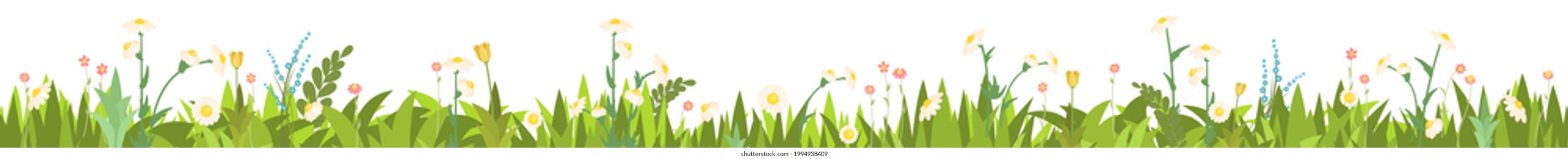 Meadow with wildflowers. Seamless illustration. Grass close-up. Green summer landscape. Rural pasture. Cartoon style. Flat design. Flowers. Isolated on white background. Vector art
