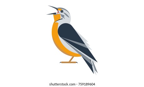 meadowlark vector flat design illustration