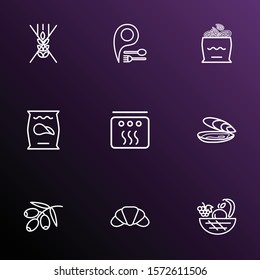 Meal icons line style set with oyster, fruit basket, olive branch and other virgin elements. Isolated vector illustration meal icons.