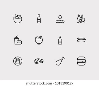 Meal icons set. Vegan and meal icons with allergic, chicken meat and water. Set of elements including beverage for web app logo UI design.