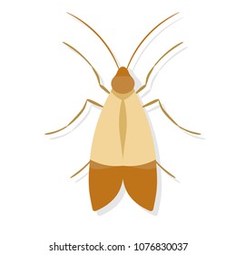 Meal Moth. Pest Control Clipart Isolated On White Background