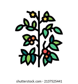 meal tomato color icon vector. meal tomato sign. isolated symbol illustration