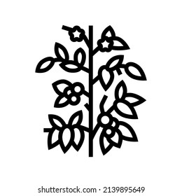 meal tomato line icon vector. meal tomato sign. isolated contour symbol black illustration