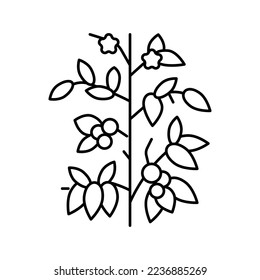 meal tomato line icon vector. meal tomato sign. isolated contour symbol black illustration