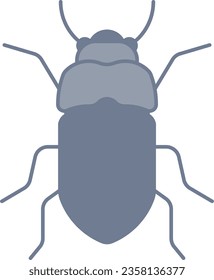 mealworm bug insect bung animal