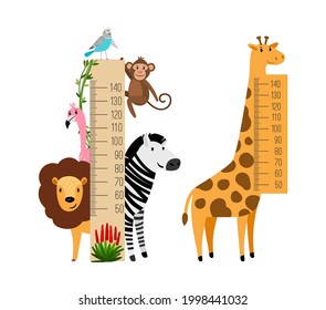 Measure growth kids. Childish rulers with cartoon animals, giraffe lion, monkey vector concept