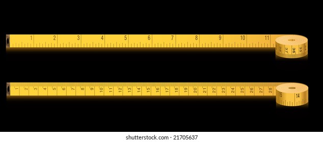 measure tape - inches and centimeters- vector