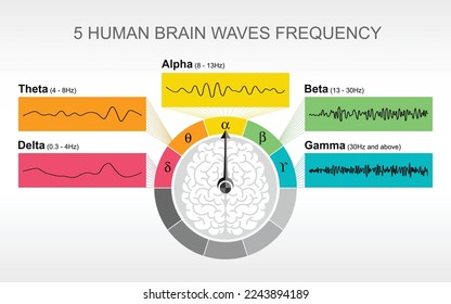 Measure and tune the brain waves
EEG or Brain waves pattern study, mind activity  indicator