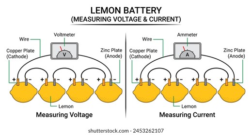 Messen Sie Spannung und Strom in der Zitronenbatterie. Wissenschaft Vektorgrafik