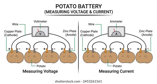 Mida el voltaje y la corriente en la batería de papa. Vector de Ciencia
