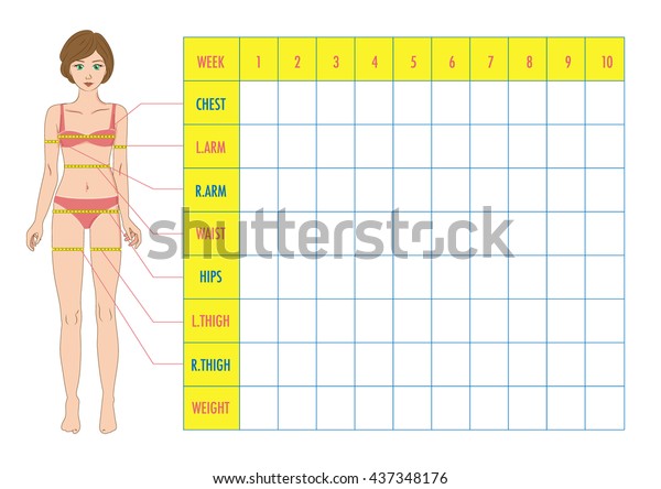 Measurement Chart Body Parameters Sport Diet Stock Vector ...